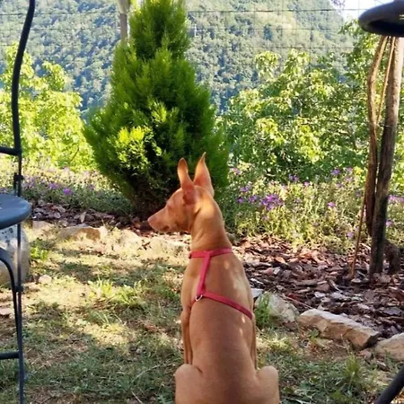 Ca' Gioel